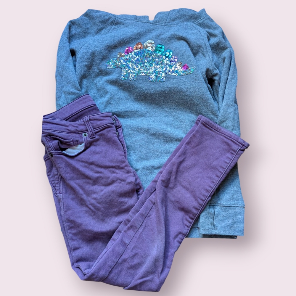 Blue Dinosaur Sweatshirt and Purple Pants Set